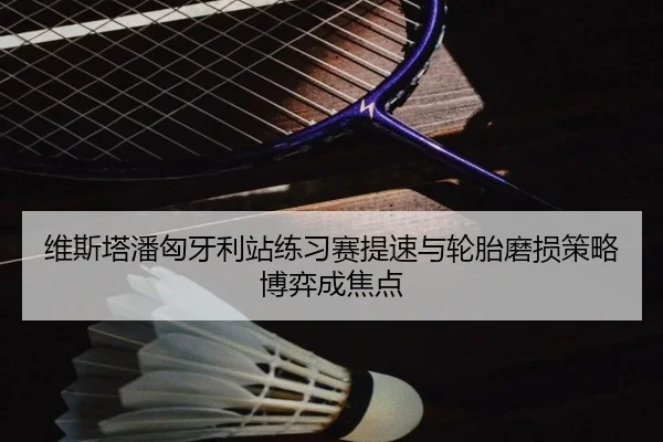 维斯塔潘匈牙利站练习赛提速与轮胎磨损策略博弈成焦点